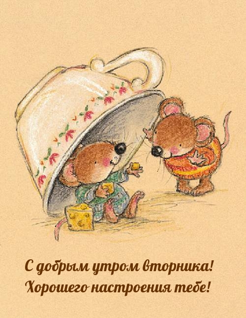 С добрым утром вторника! Хорошего настроения тебе!