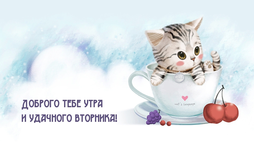 Доброго тебе утра и удачного вторника!