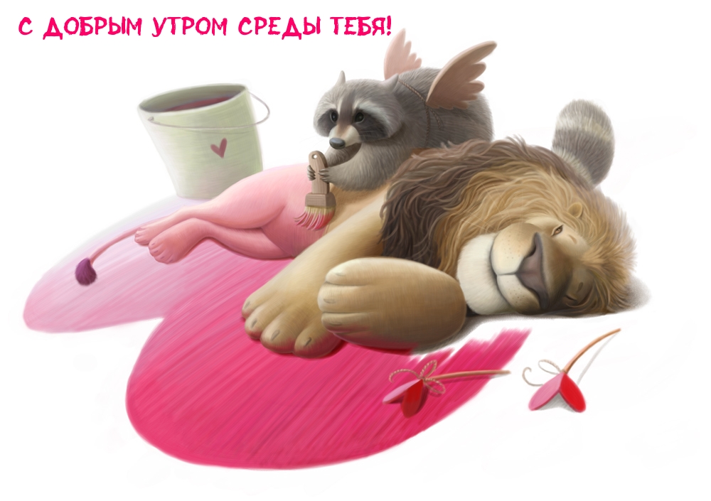 С добрым утром среды тебя!