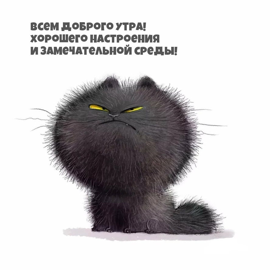Замечательной среды!
