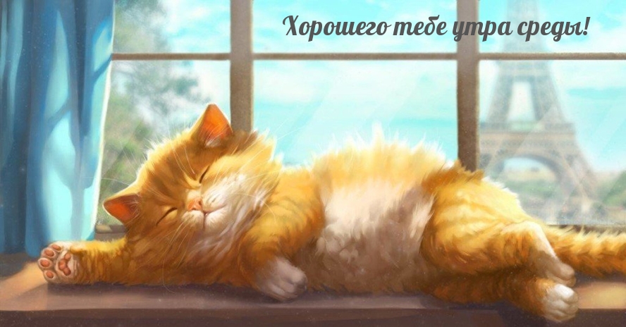 Хорошего тебе утра среды!