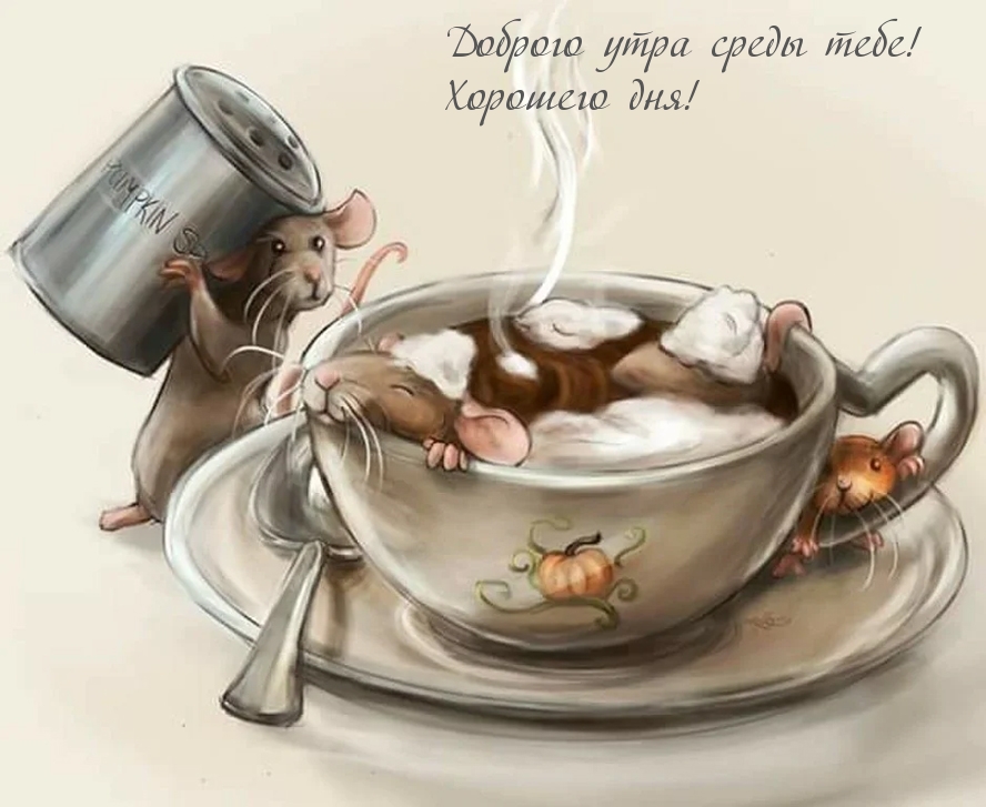 Доброго утра среды тебе! Хорошего дня!