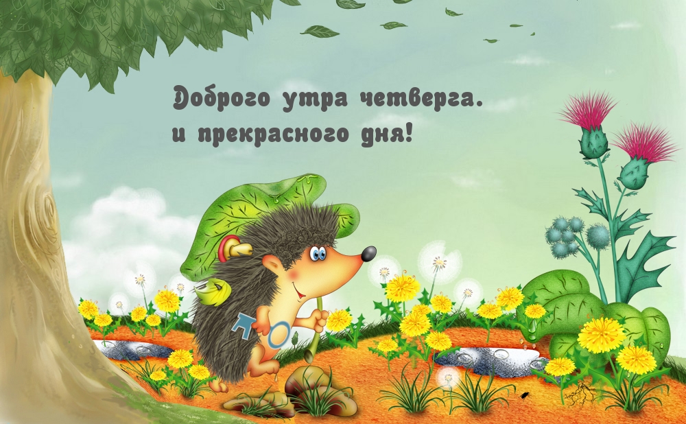 Доброго утра четверга. и прекрасного дня!