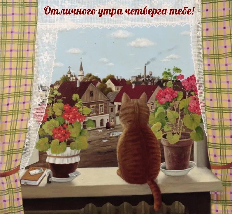 Отличного утра четверга тебе!