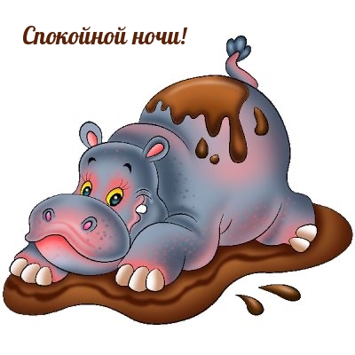 Спокойной ночи!