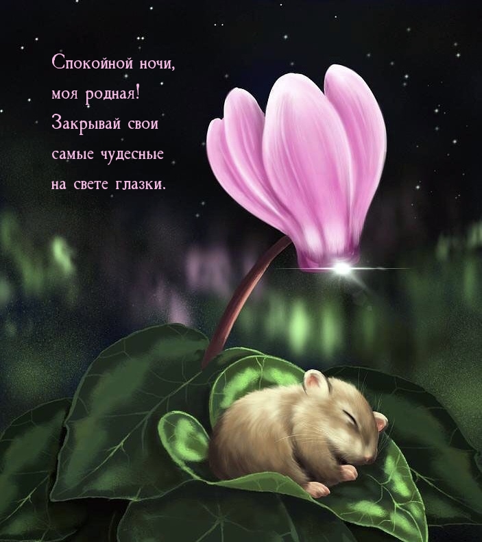 Спокойной ночи, моя родная!