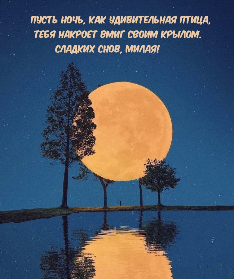 Сладких снов, милая! Пусть ночь, как удивительная птица