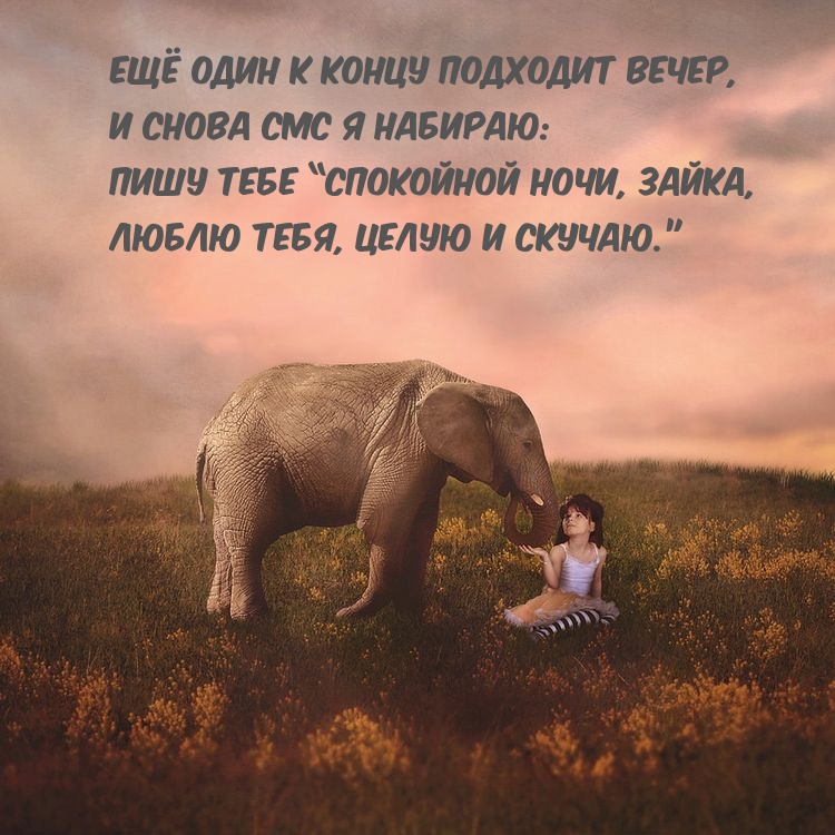 Пишу тебе “Спокойной ночи, зайка, люблю тебя, целую и скучаю.”