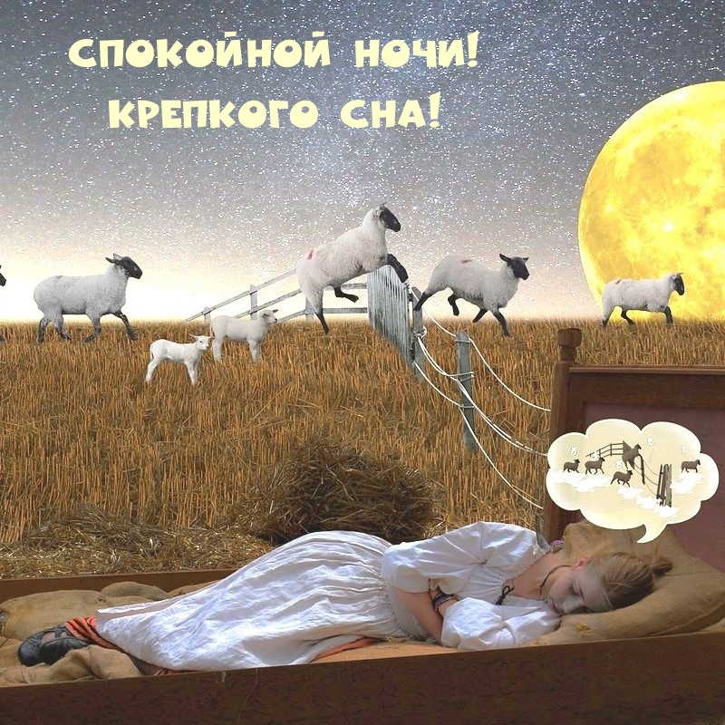 Спокойной ночи! Крепкого сна!