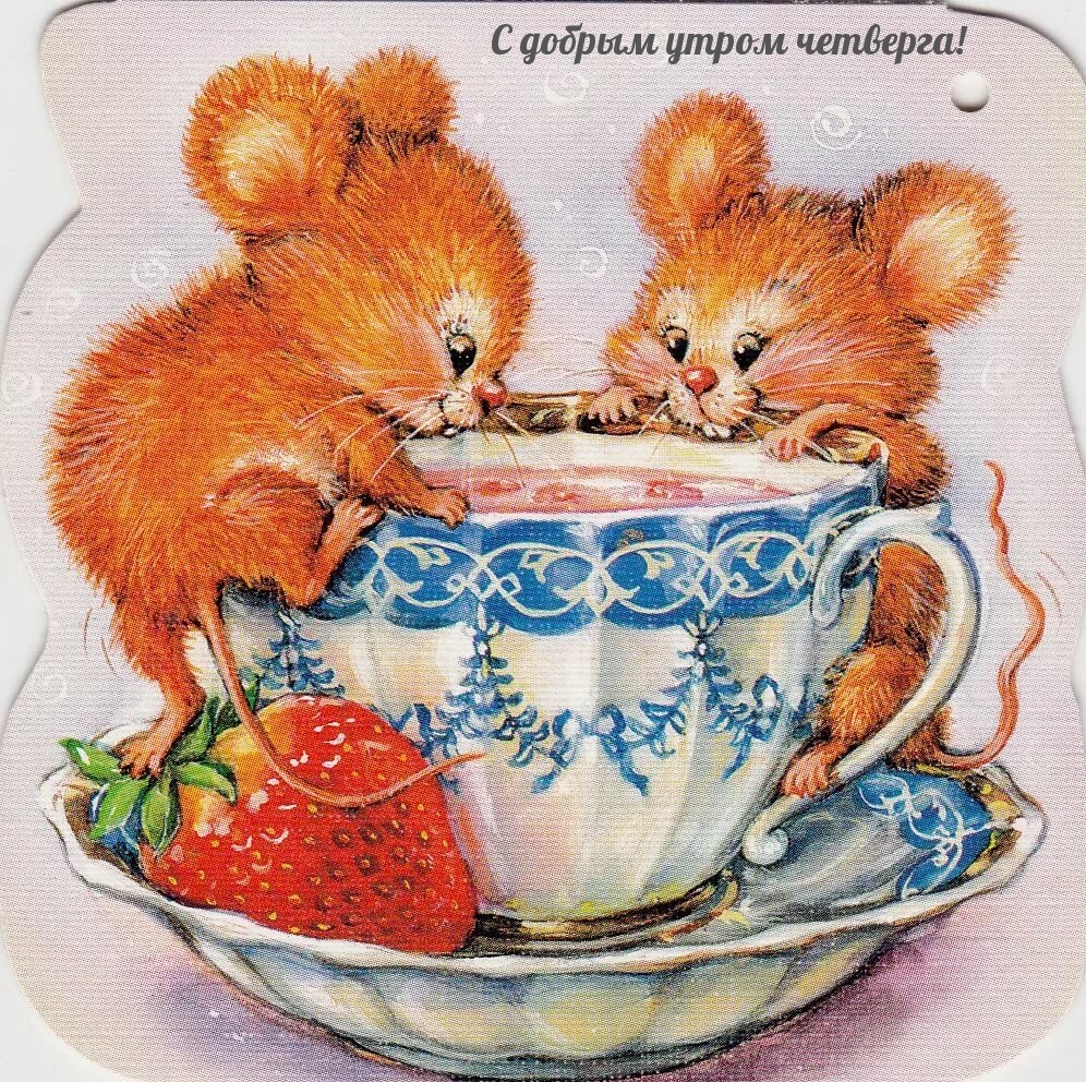 С добрым утром четверга!
