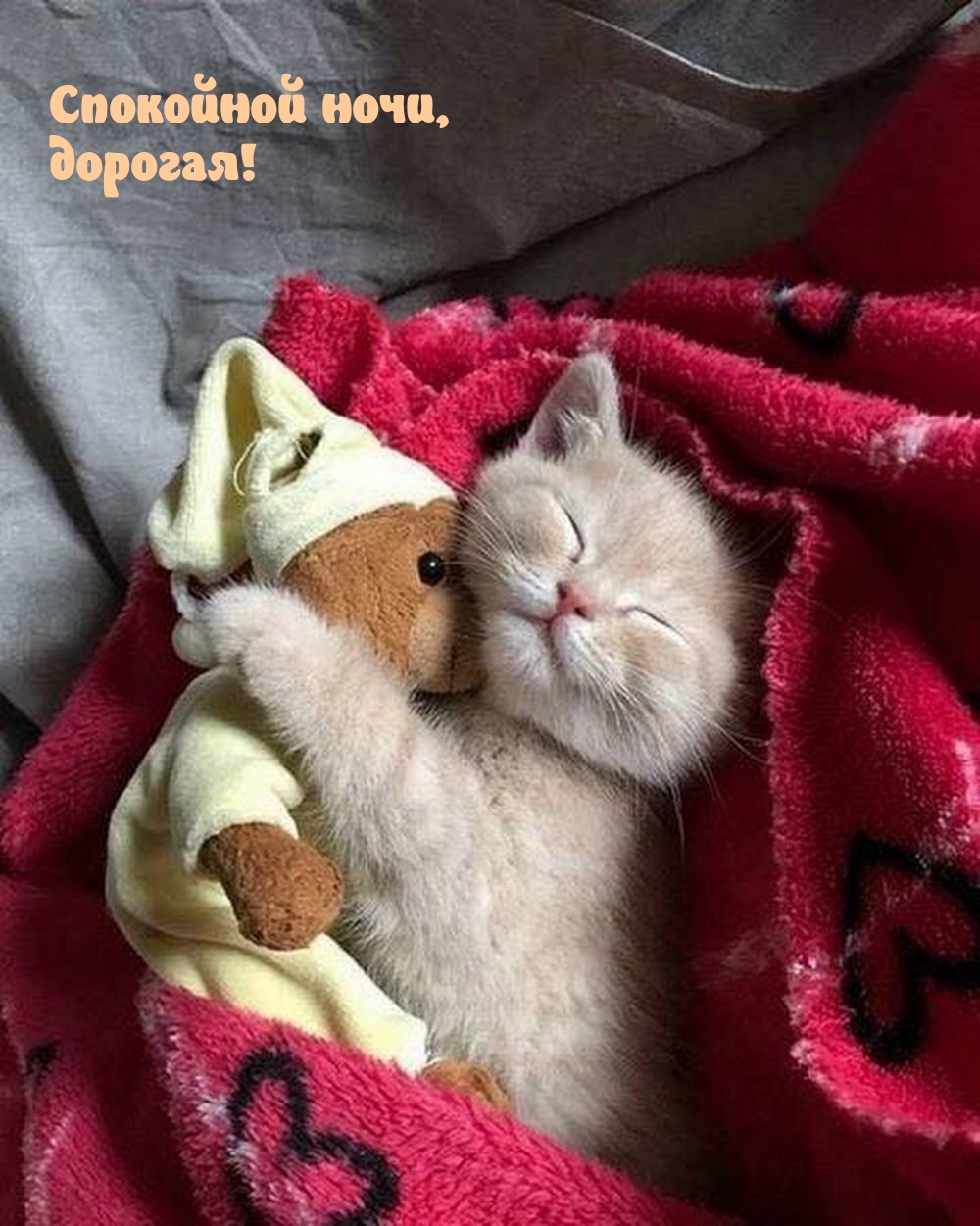 Спокойной ночи, дорогая!
