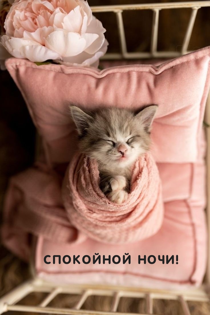 Спокойной ночи!