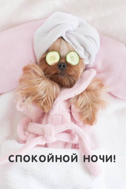 Спокойной ночи!