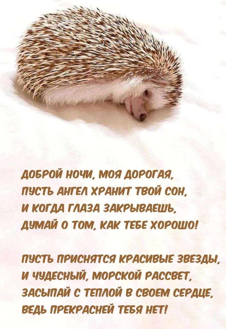Доброй ночи, моя дорогая, пусть ангел хранит твой сон
