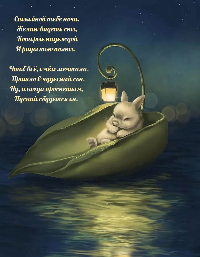 Спокойной ночи. Желаю видеть сны, которые надеждой и радостью полны.