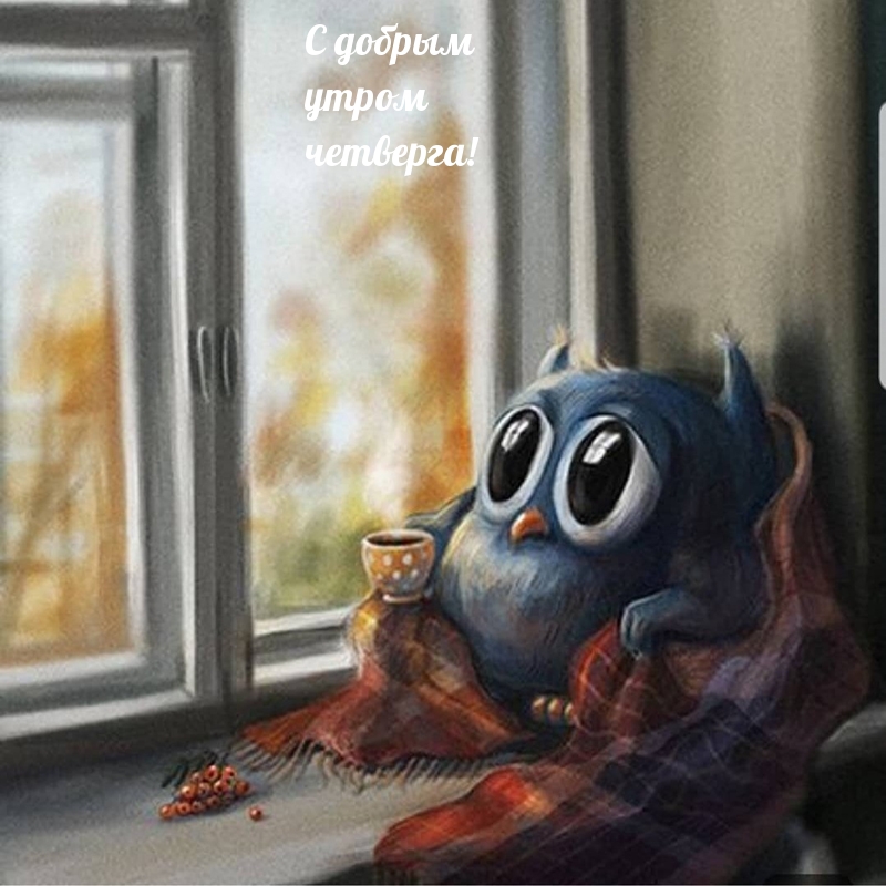 С добрым утром четверга!