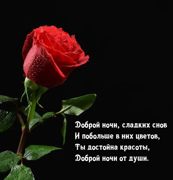 Доброй ночи, сладких снов и побольше в них цветов.