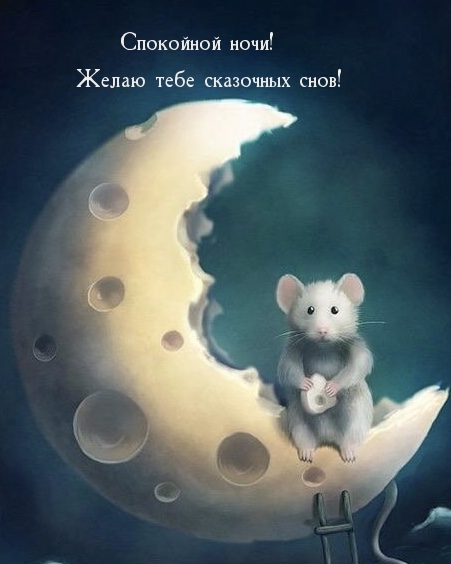 Спокойной ночи! Желаю тебе сказочных снов!