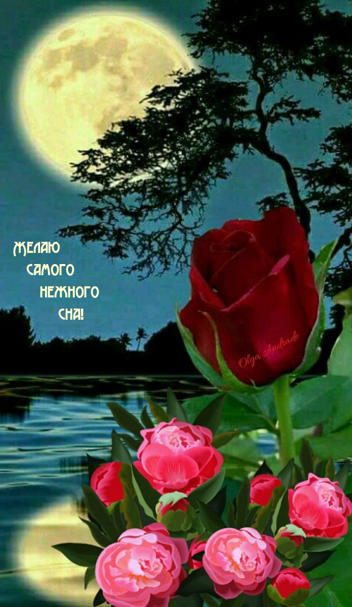 Желаю самого нежного сна!
