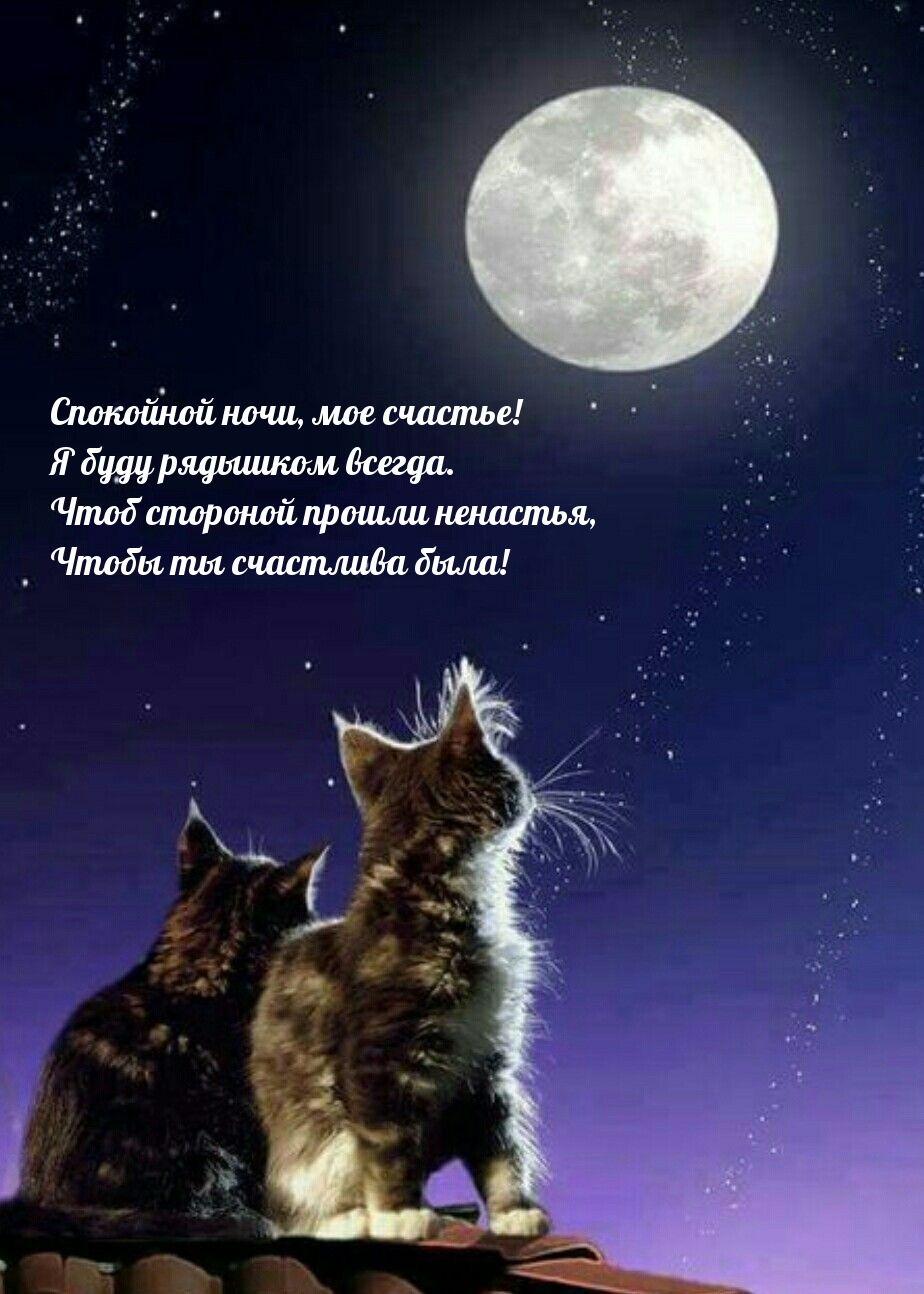 Спокойной ночи, мое счастье! Я буду рядышком всегда.