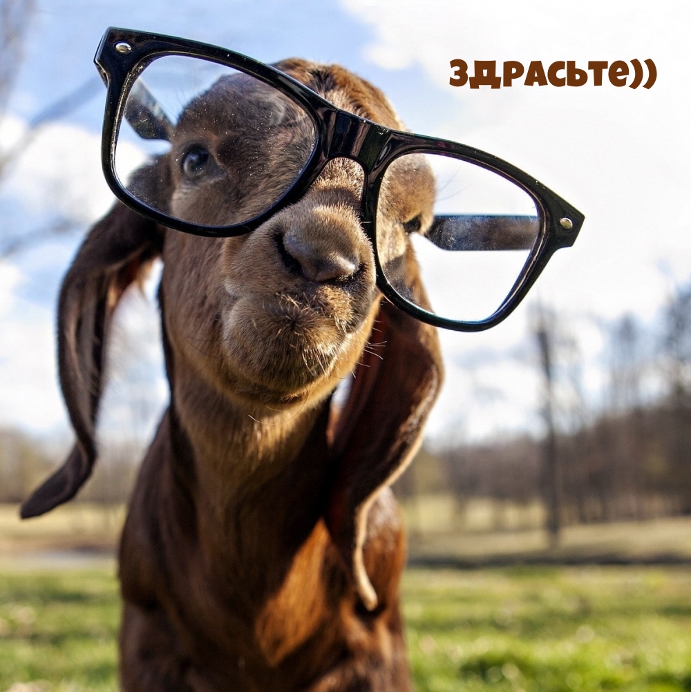 Здрасьте))