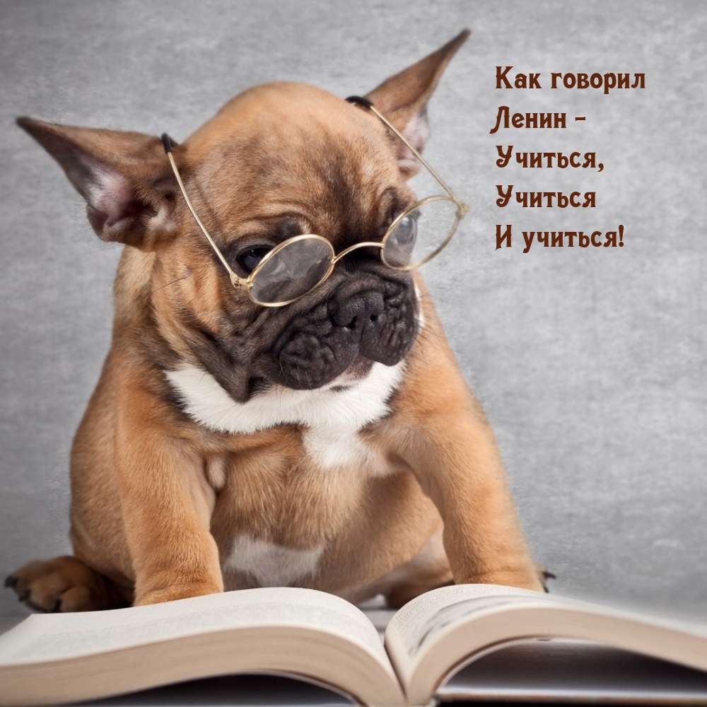 Как говорил Ленин — Учиться, Учиться И учиться!