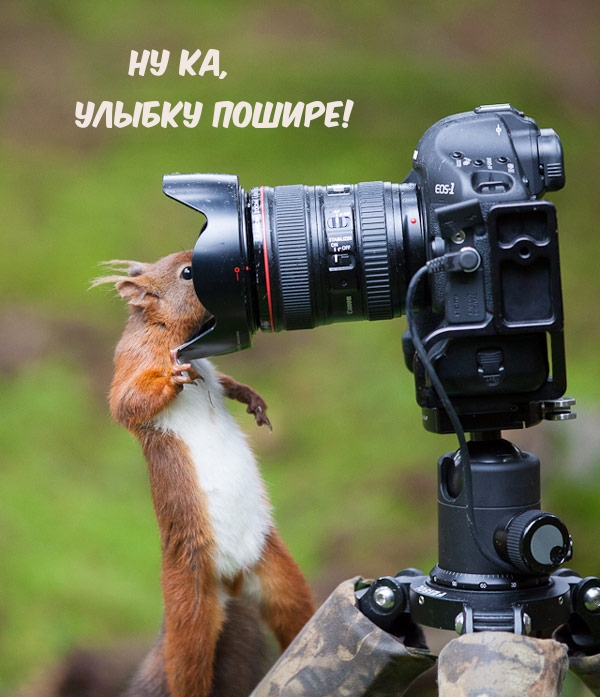 Ну ка, Улыбку пошире!