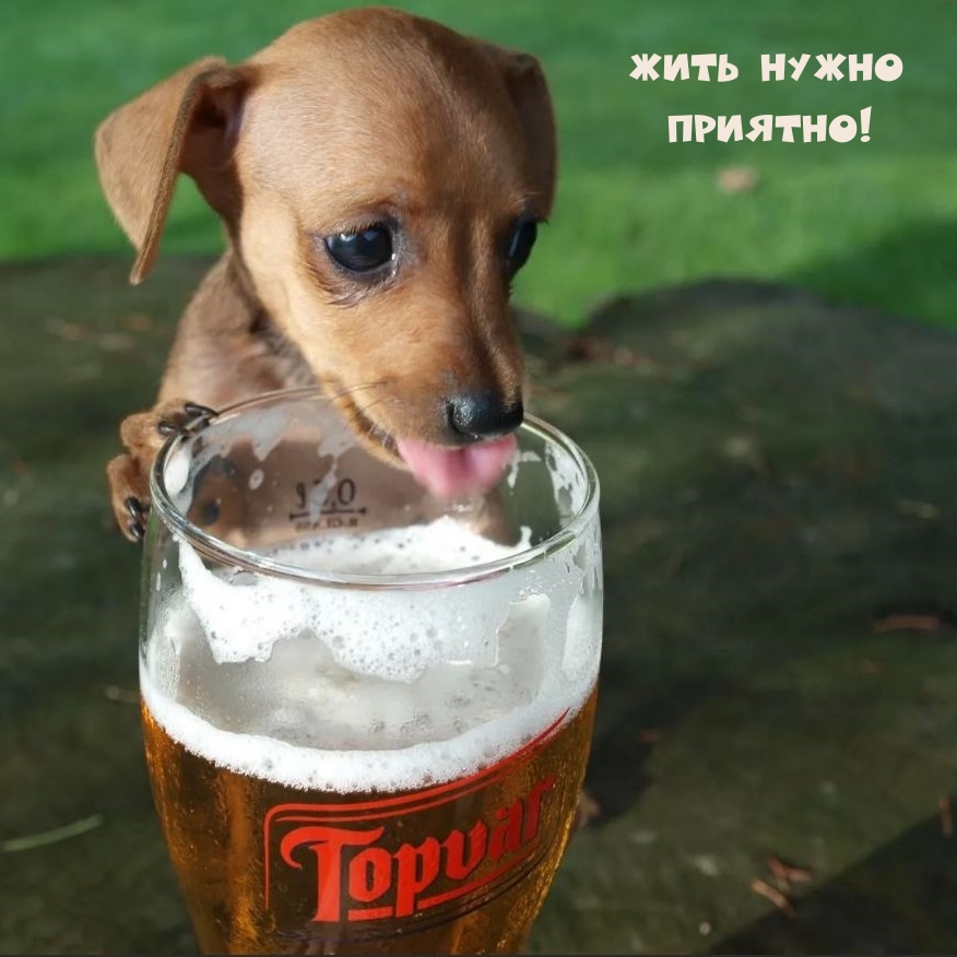 Жить нужно Приятно!