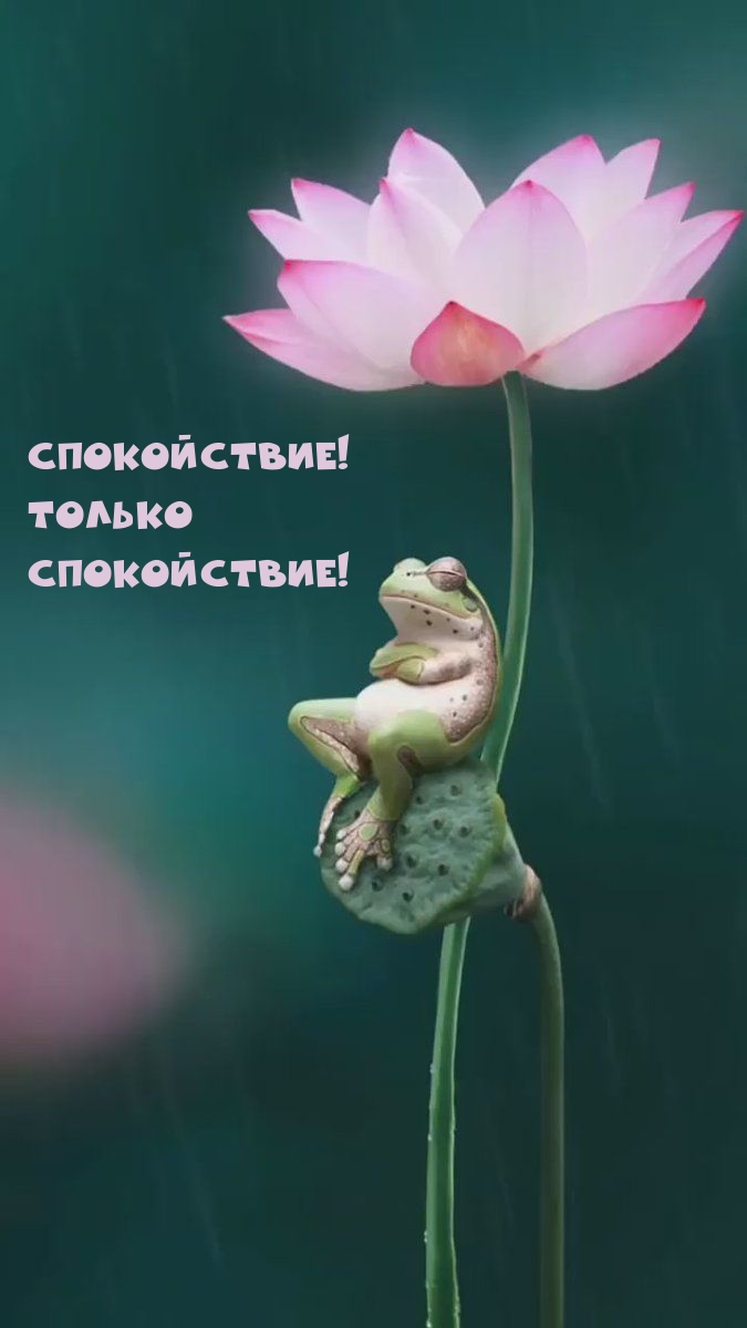 Спокойствие! Только спокойствие!