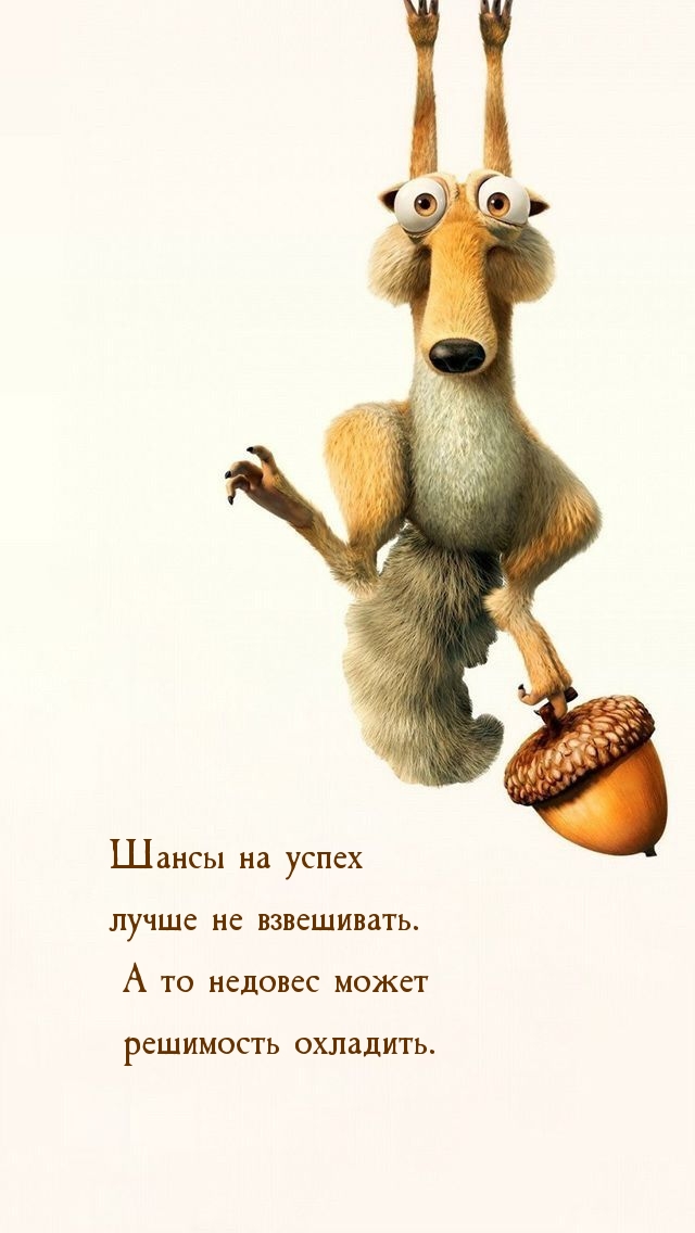 Шансы на успех лучше не взвешивать.