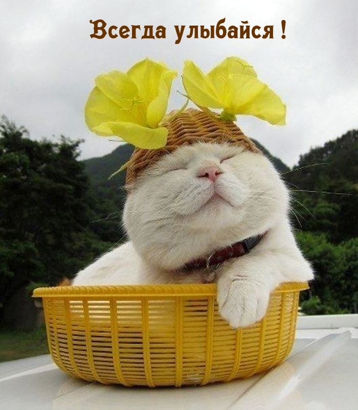 Всегда улыбайся!