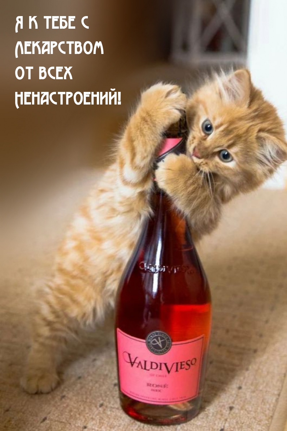 Я к тебе с Лекарством От всех Ненастроений!