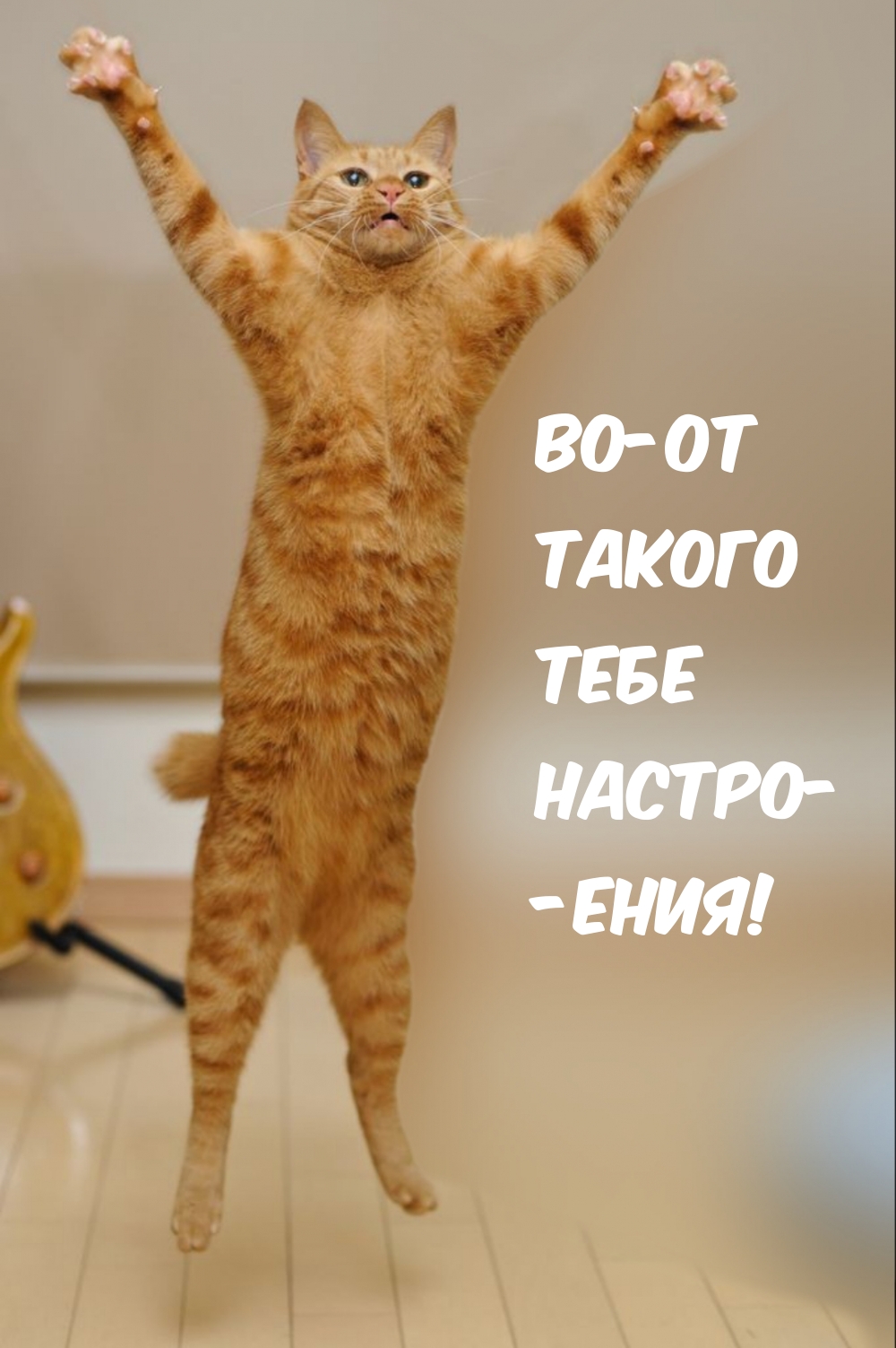 Во-от Такого Тебе Настро- -ения!