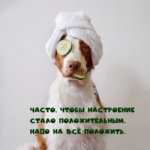 Часто, чтобы настроение стало положительным