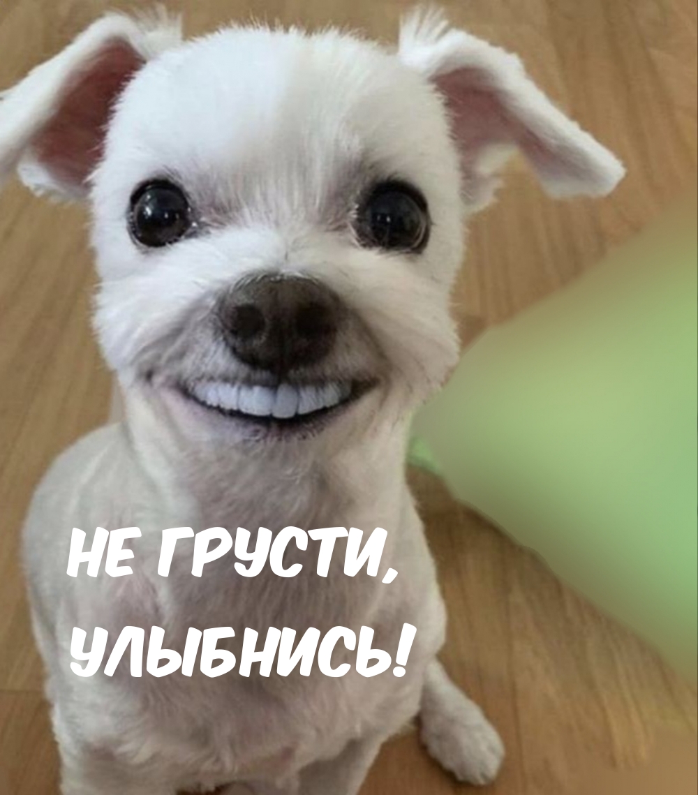 Не грусти, Улыбнись!
