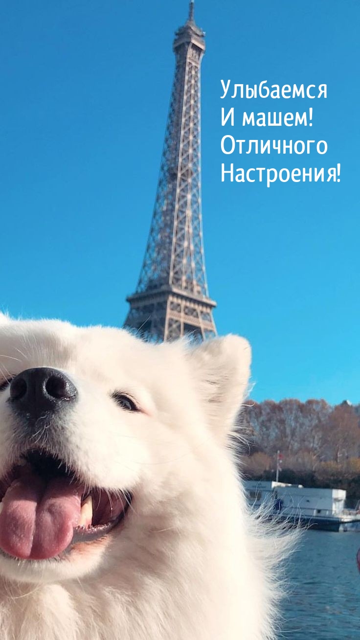 Улыбаемся И машем! Отличного Настроения!