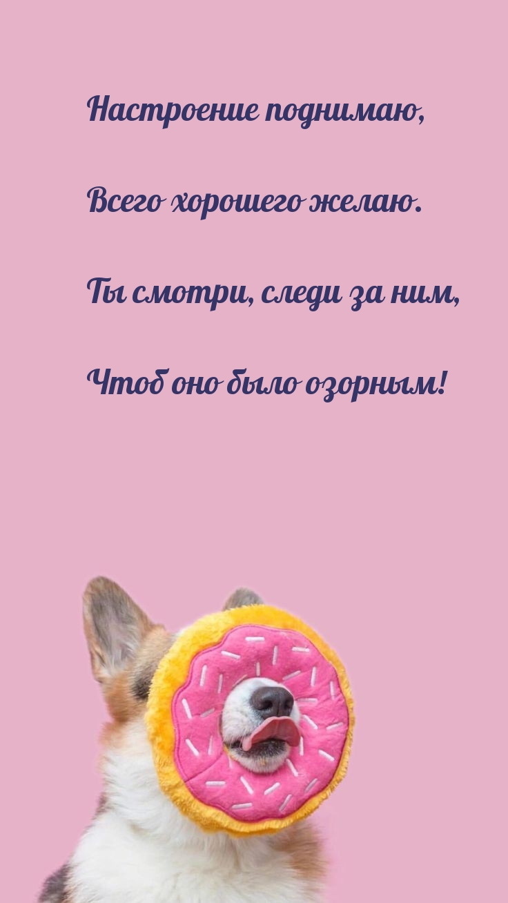 Настроение поднимаю, всего хорошего желаю.