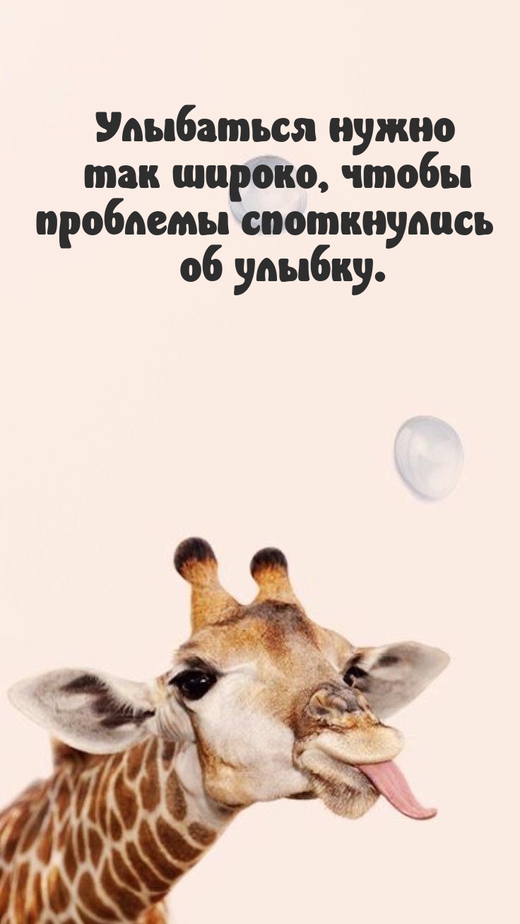 Улыбаться нужно так широко, чтобы проблемы споткнулись об улыбку.