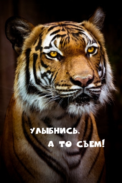 Улыбнись, а то съем!