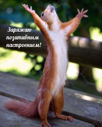 Заряжаю позитивным настроением!