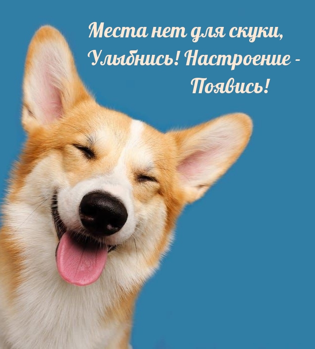 Места нет для скуки, Улыбнись! Настроение — Появись!