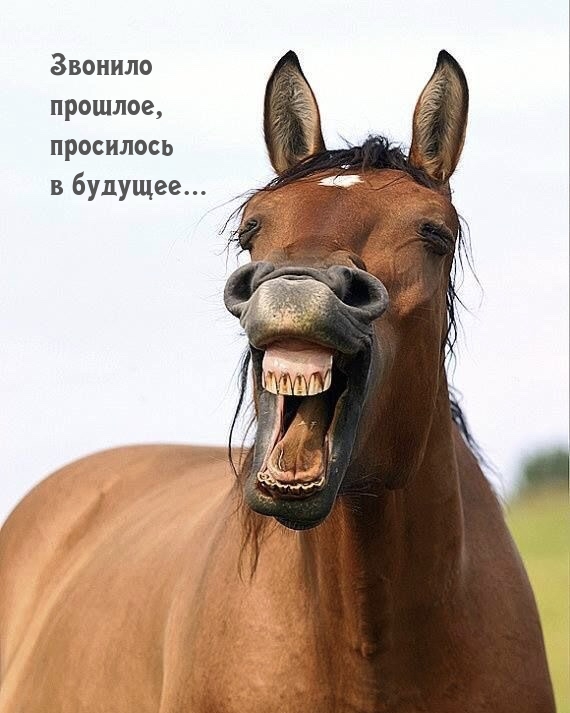 Звонило прошлое, просилось в будущее…