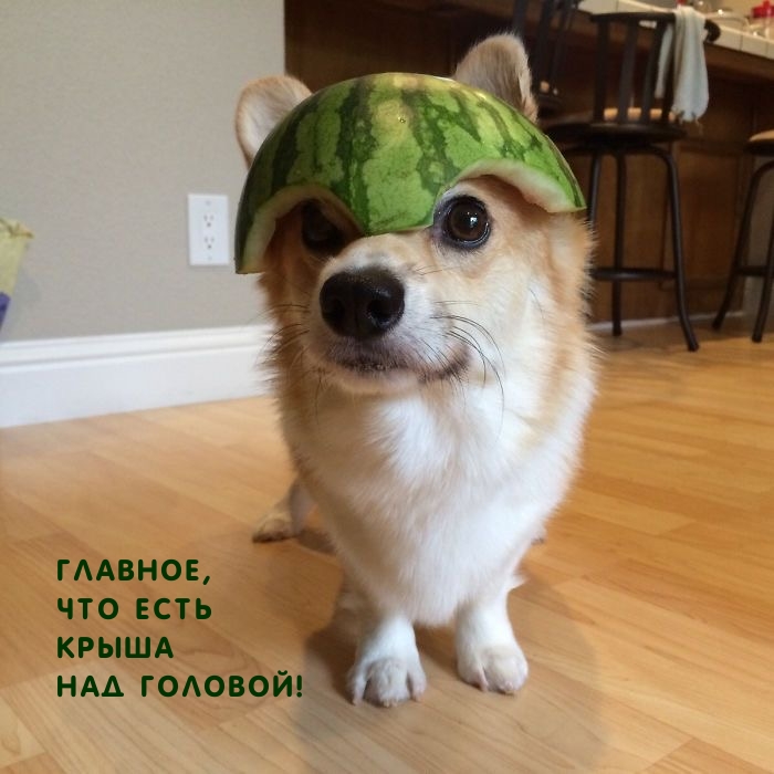 ГЛАВНОЕ, ЧТО ЕСТЬ КРЫША НАД ГОЛОВОЙ!