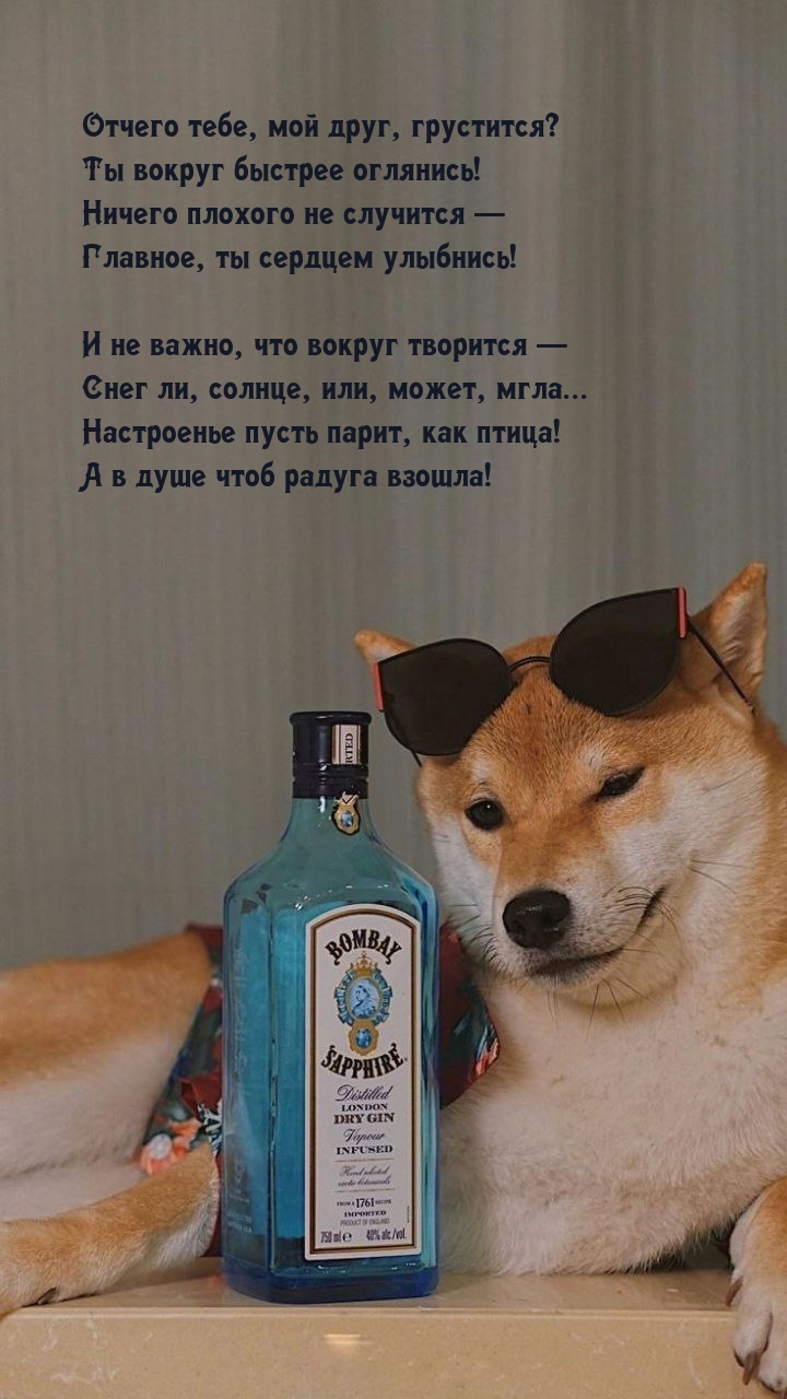 Отчего тебе, мой друг, грустится? Ты вокруг быстрее оглянись!