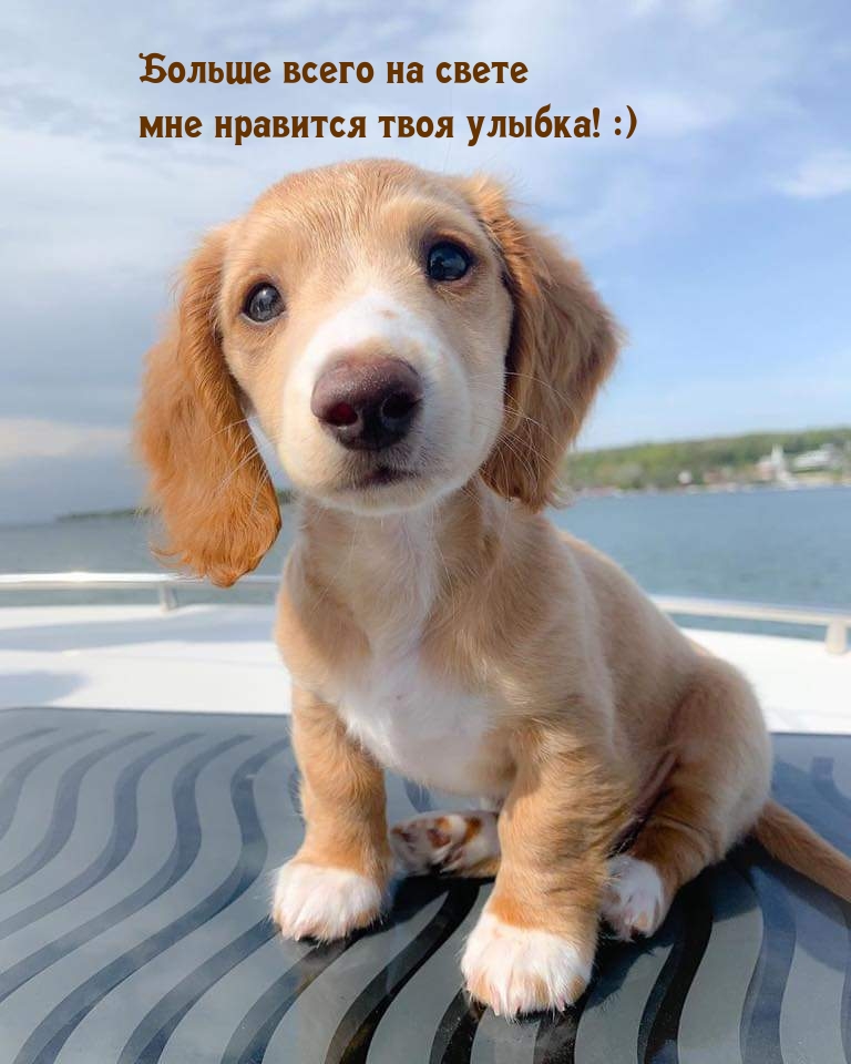 Больше всего на свете мне нравится твоя улыбка! :)