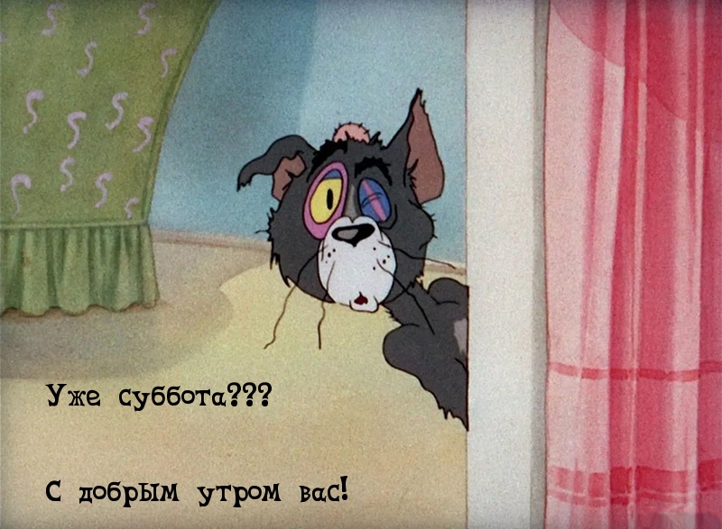 Уже суббота??? С добрым утром вас!
