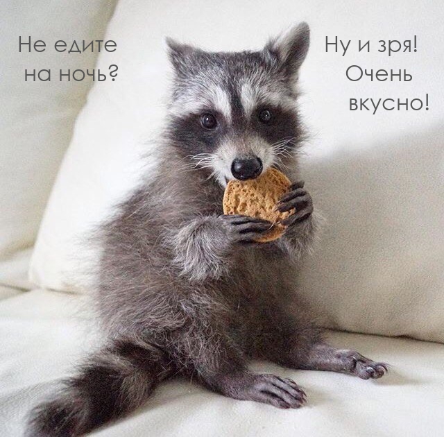 Не едите на ночь? Ну и зря! Очень вкусно!