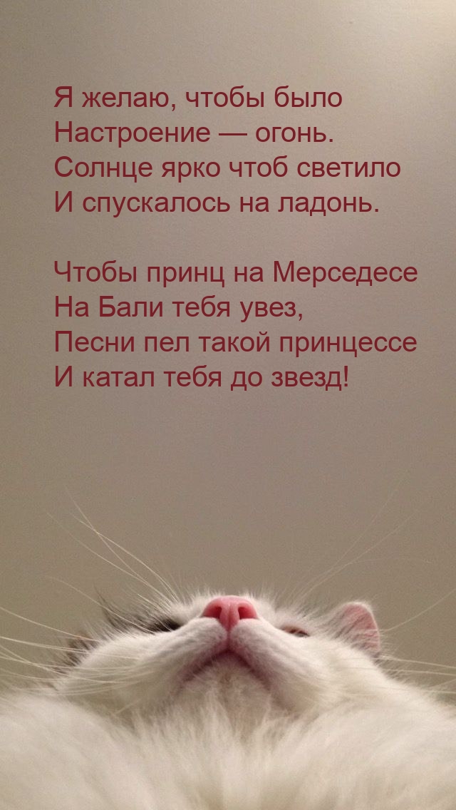 Я желаю, чтобы было настроение — огонь.
