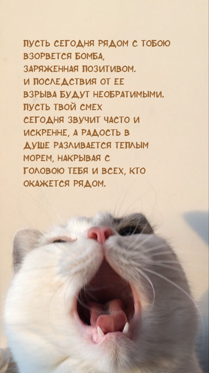 Пусть сегодня рядом с тобою взорвется бомба