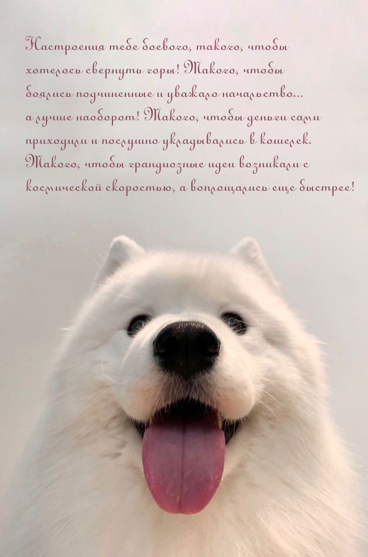 Настроения тебе боевого, такого, чтобы хотелось свернуть горы!
